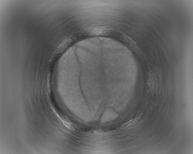 X0000059250590200511111643