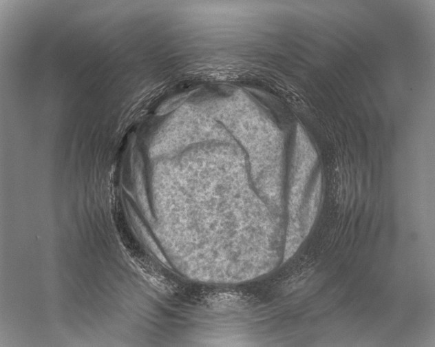 X0000059250594200511111643