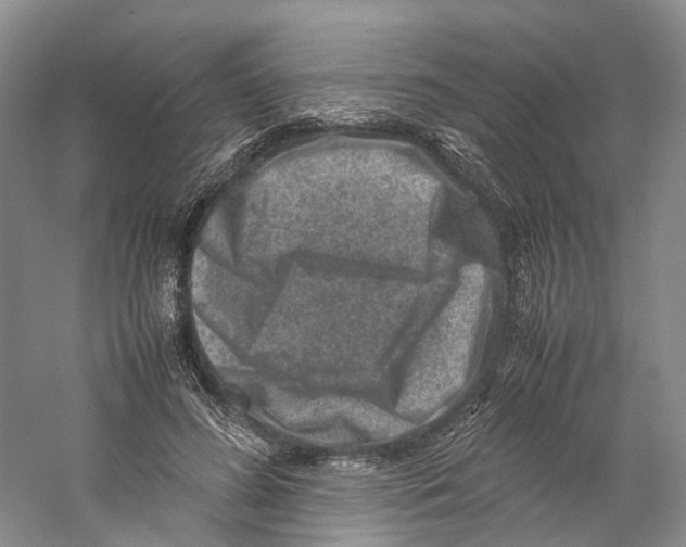 X0000059250596200511111643