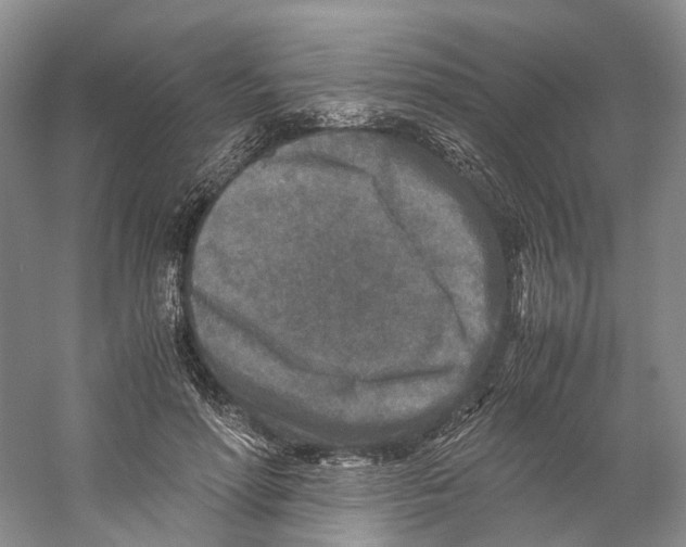 X0000059250598200511111643