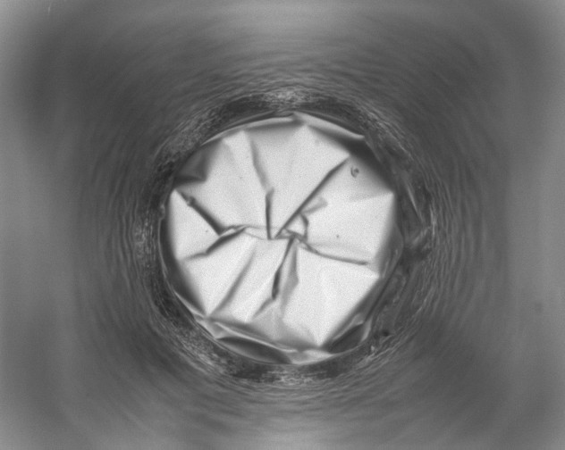 X0000059250601200511111643