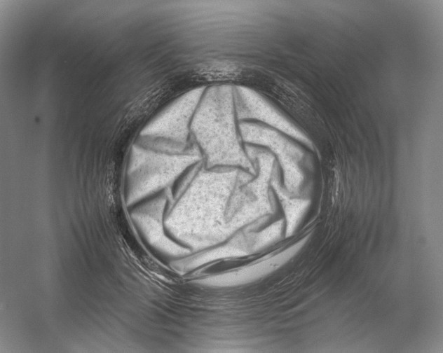 X0000059250604200511111643