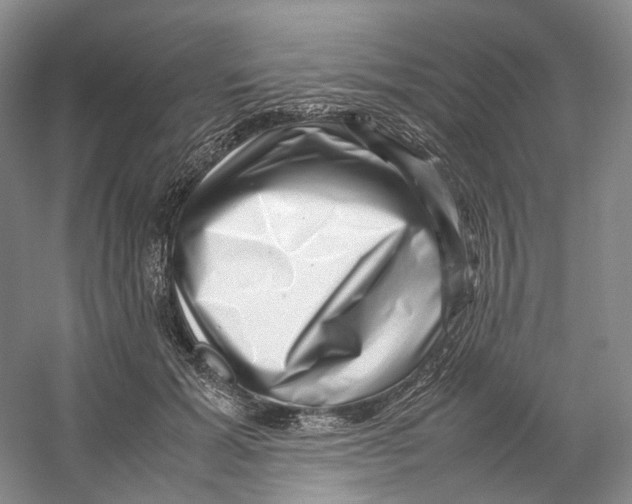 X0000059250605200511111643