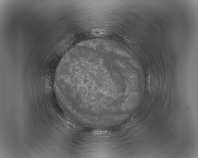 X0000059250606200511111643