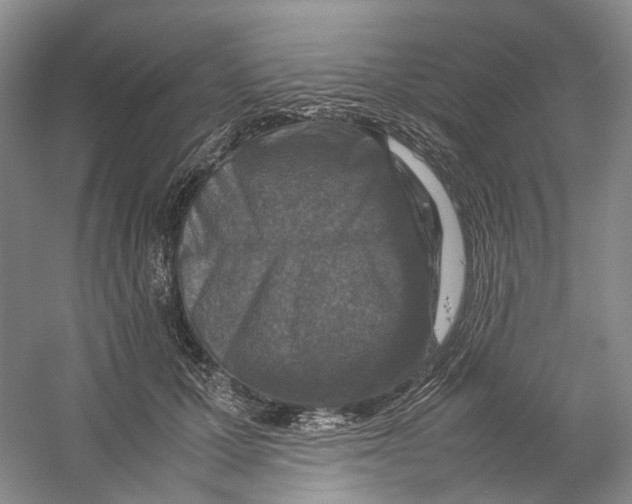 X0000059250607200511111643