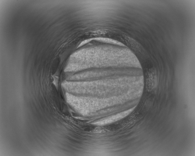 X0000059250608200511111643