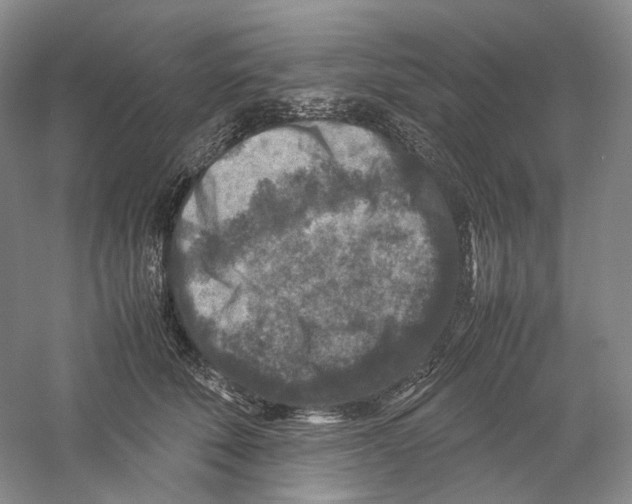 X0000059250610200511111643