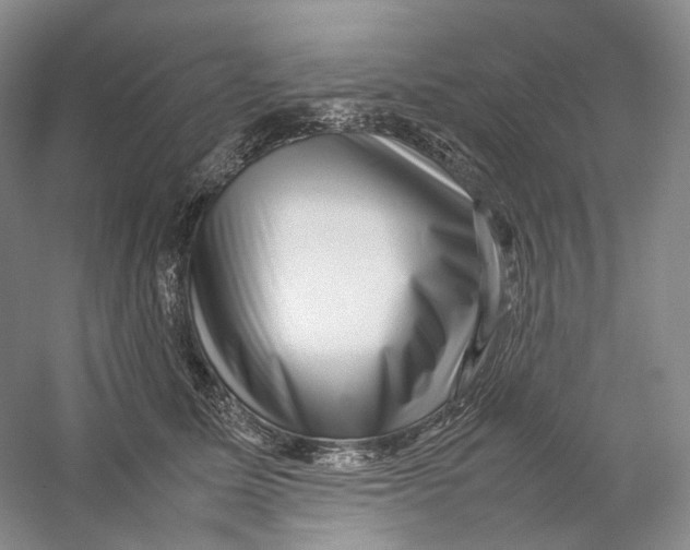 X0000059250611200511111643