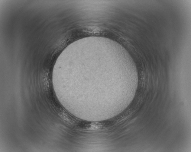 X0000059250612200511111643