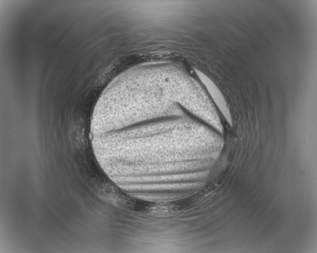 X0000059250615200511111643