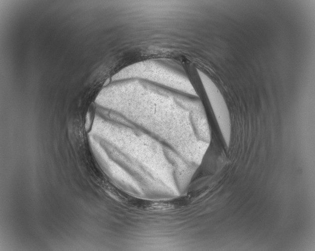 X0000059250617200511111643