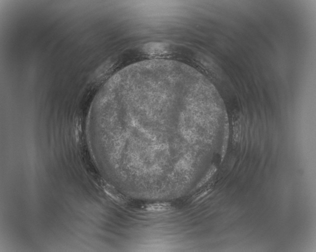 X0000059250618200511111643