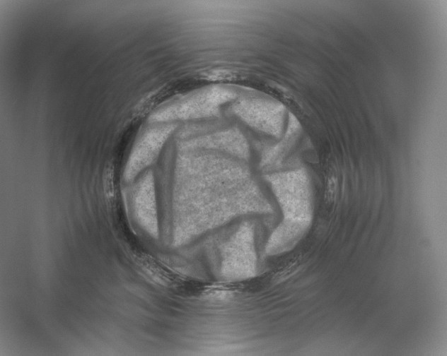 X0000059250620200511111643