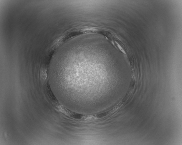 X0000059250621200511111643