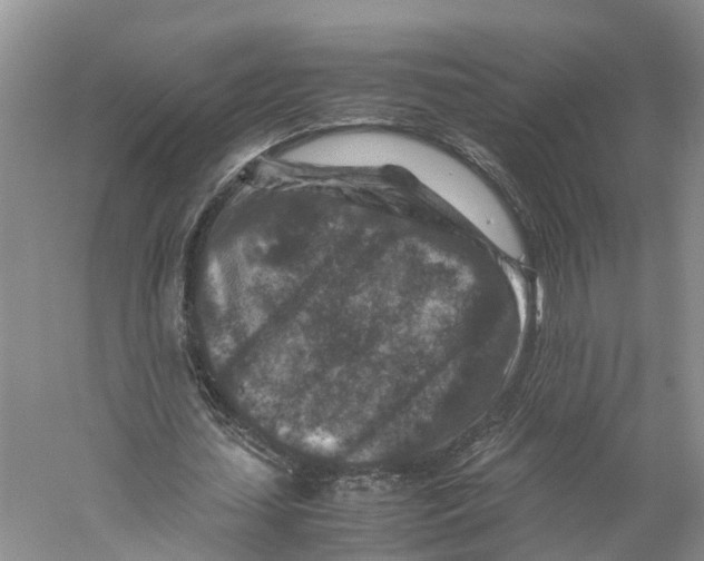 X0000059250627200511111642