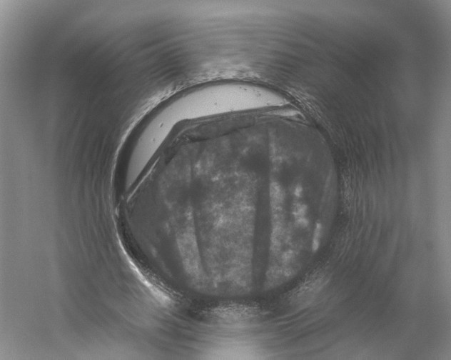 X0000059250630200511111642