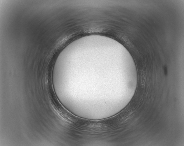 X0000059250631200511111642