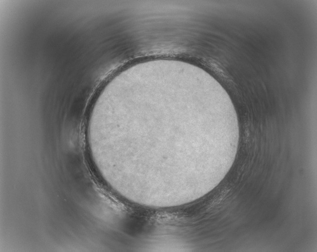 X0000059250632200511111642