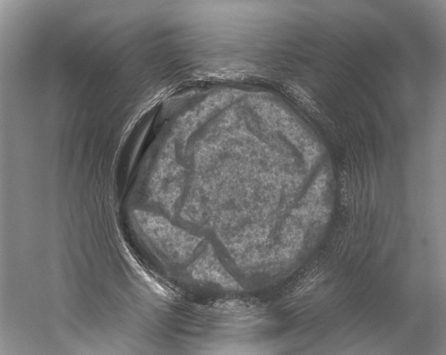 X0000059250634200511111642