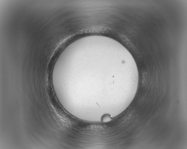 X0000059250636200511111642