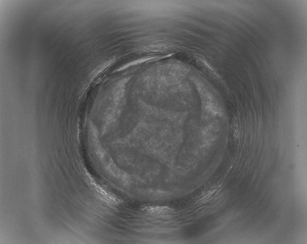 X0000059250637200511111642