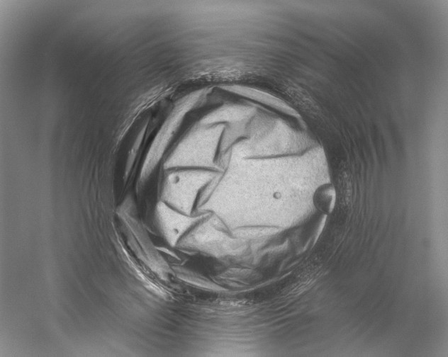 X0000059250638200511111642