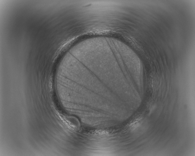 X0000059250640200511111642