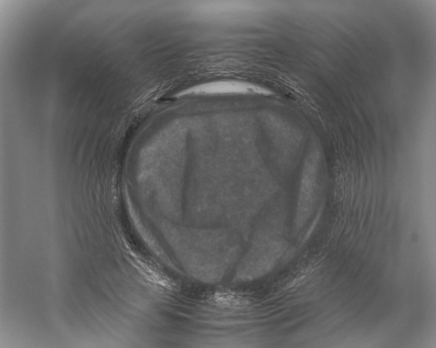 X0000059250641200511111642