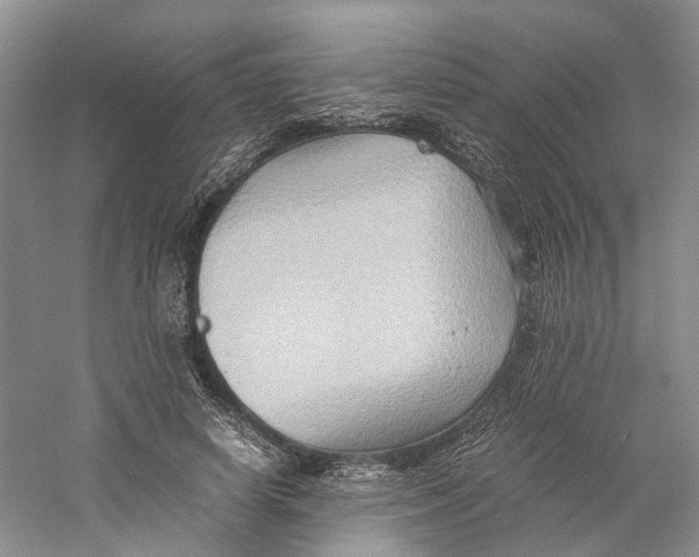 X0000059250642200511111642