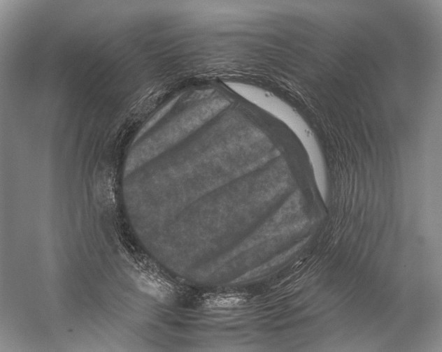 X0000059250643200511111642