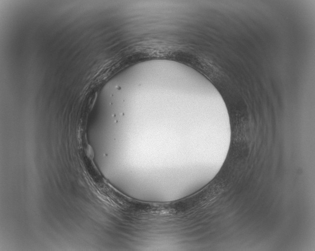 X0000059250646200511111642