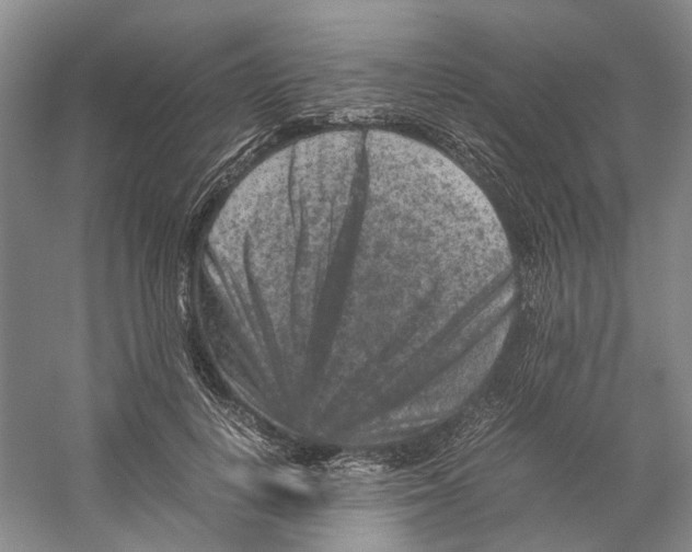 X0000059250648200511111642