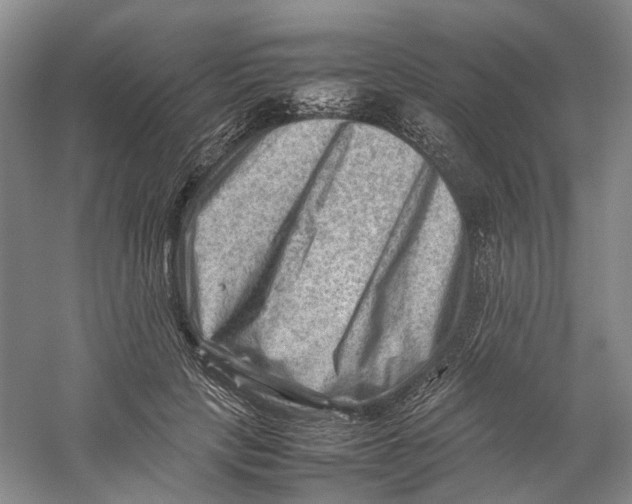 X0000059250649200511111642