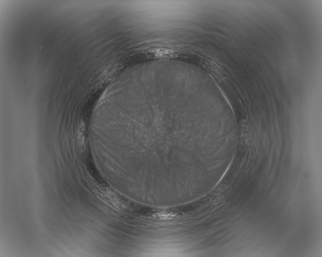 X0000059250650200511111642