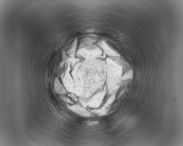 X0000059250651200511111642