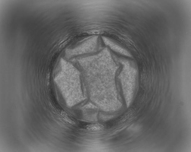 X0000059250652200511111642