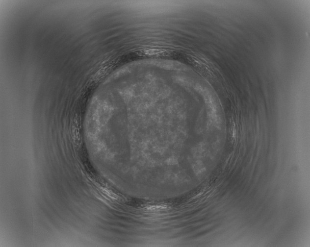 X0000059250653200511111642