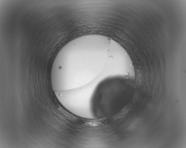 X0000059250654200511111642