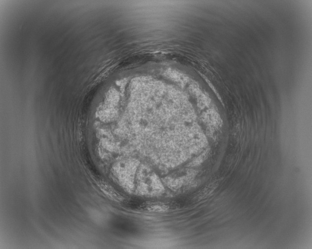 X0000059250658200511111642