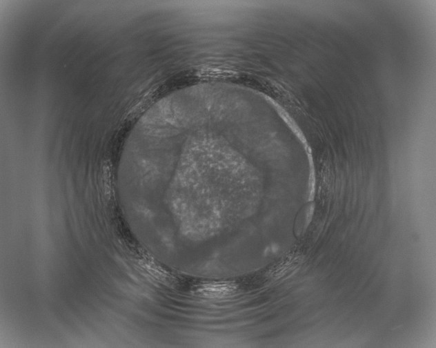 X0000059250659200511111642