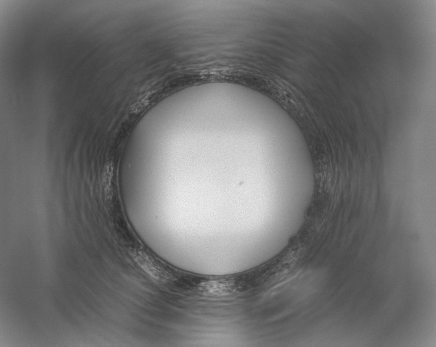 X0000059250660200511111642