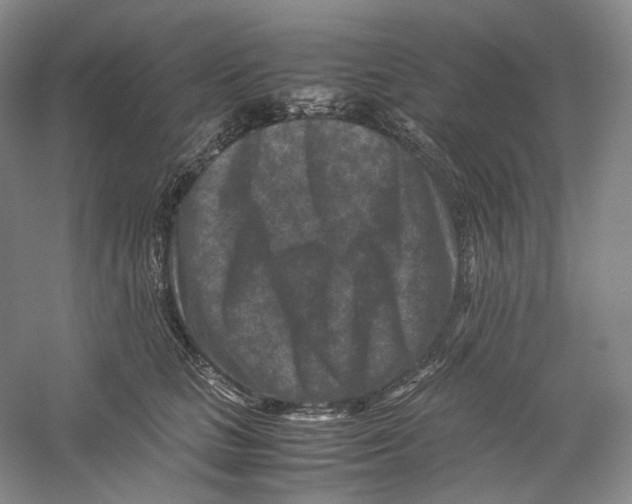 X0000059250661200511111642