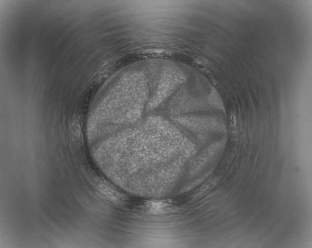 X0000059250662200511111642