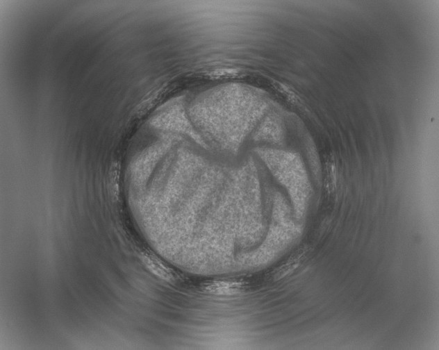 X0000059250664200511111642