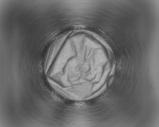 X0000059250666200511111642