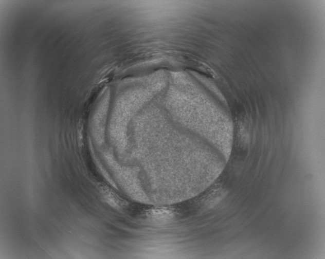 X0000059250668200511111642