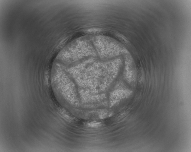 X0000059250669200511111643