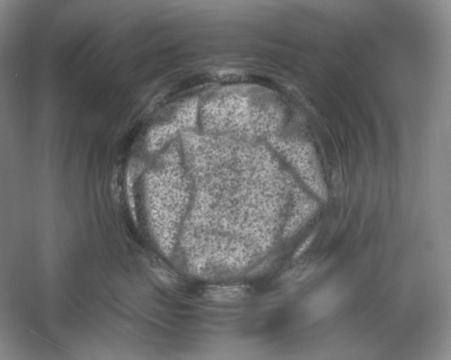 X0000059250671200511111643