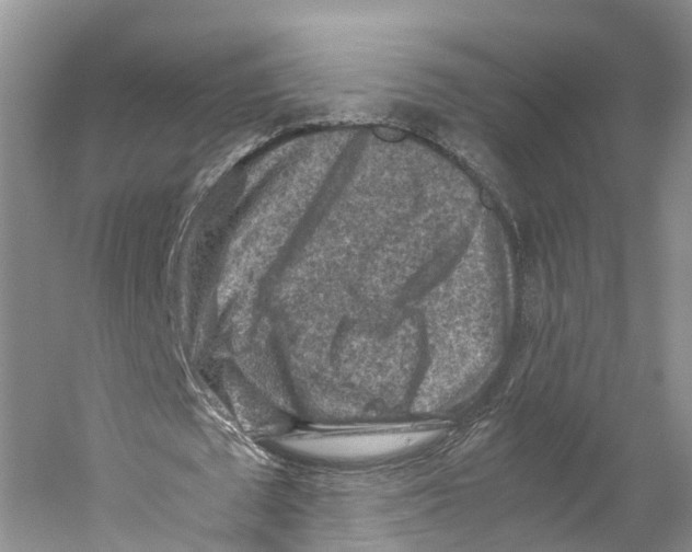 X0000059250673200511111642