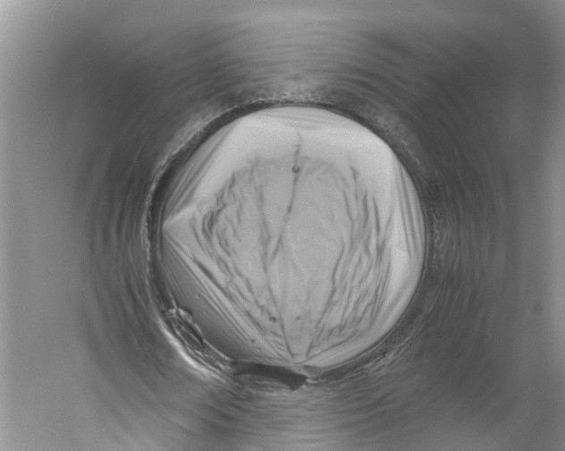 X0000059250674200511111642